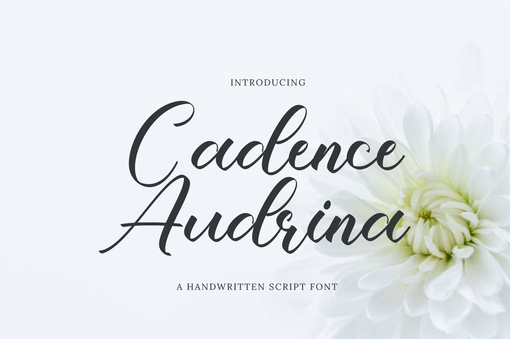 Cadence Audrina字体 3