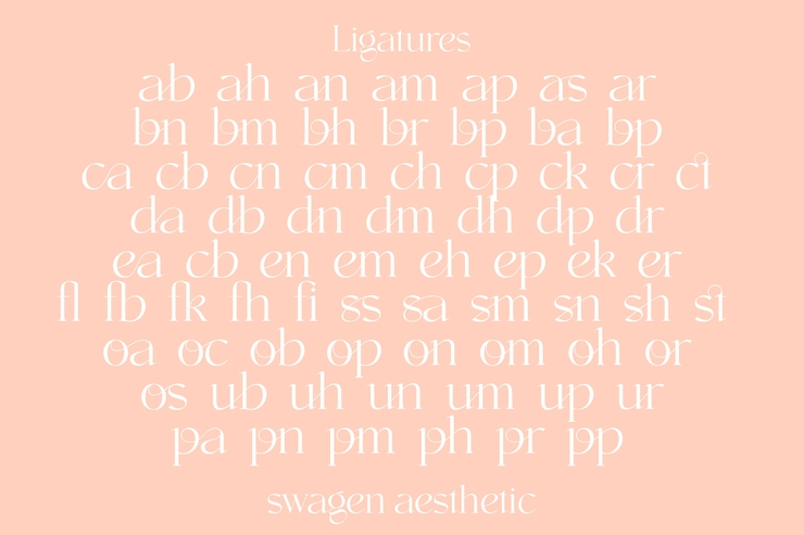 swagen aesthetic字体 4