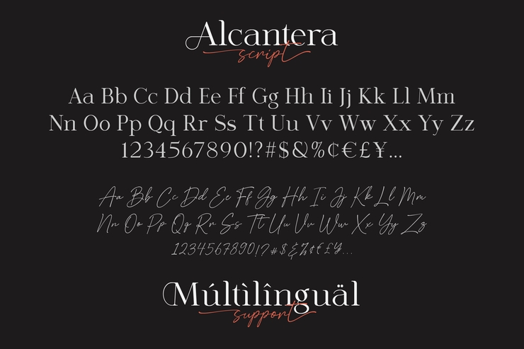 Alcantera Serif字体 2