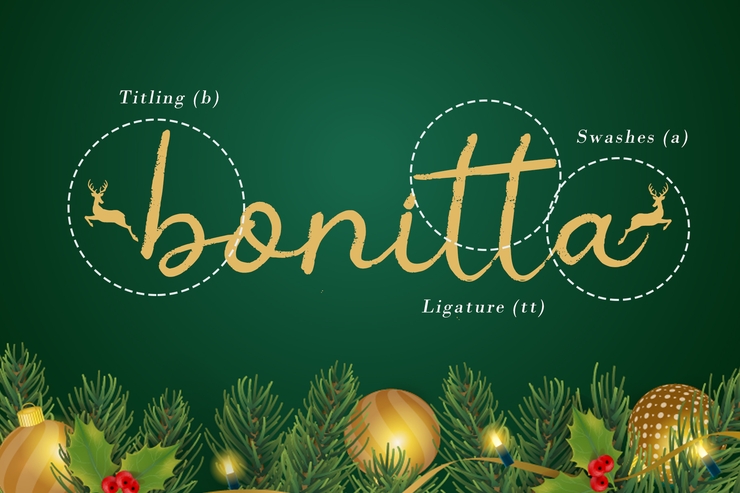 Christmas Ink字体 5