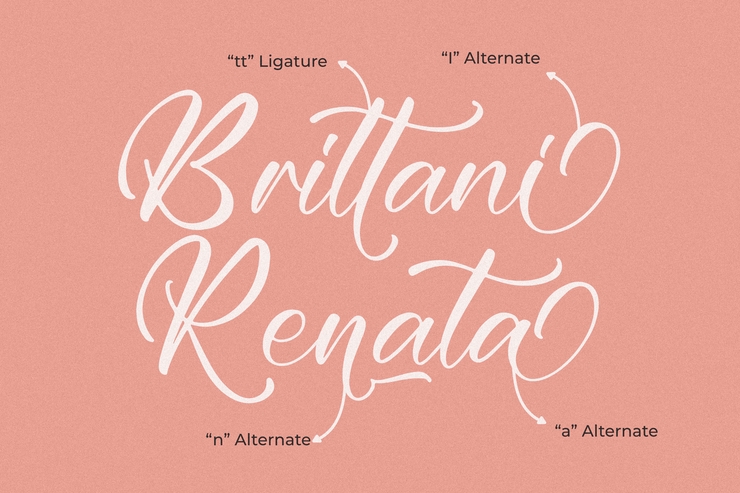Brittani Renata字体 4