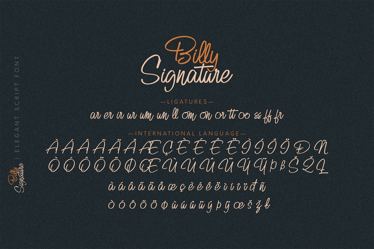Billy Signature字体 9