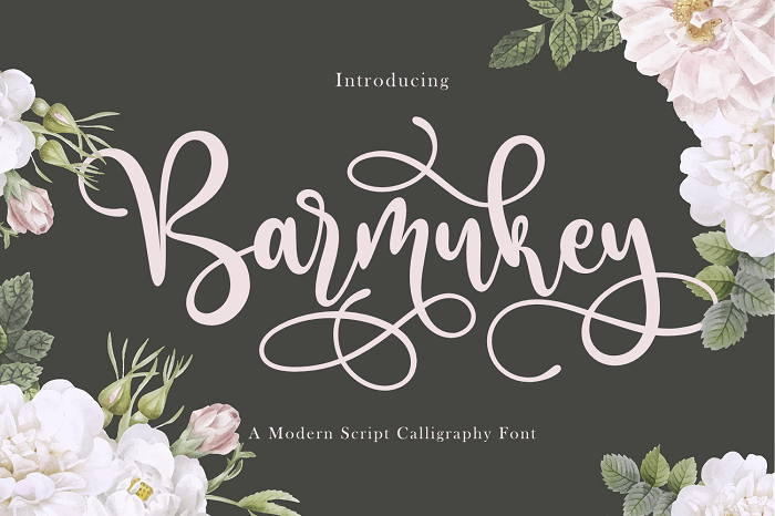 Barmukey字体 1