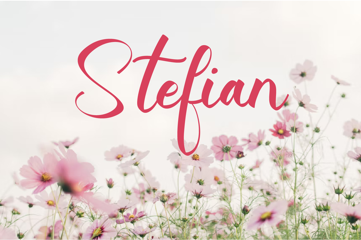 Stefian字体 2