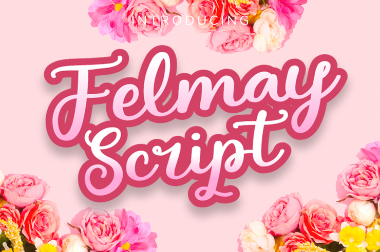 Felmay Script字体 1