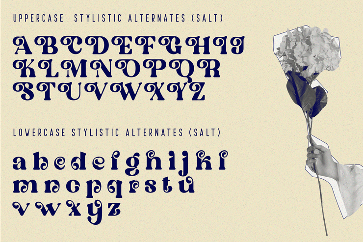 Ostrich Habitat字体 3