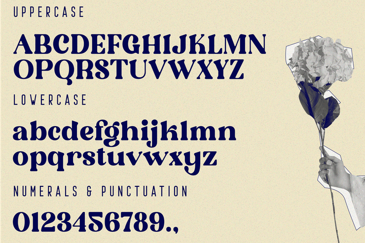 Ostrich Habitat字体 6