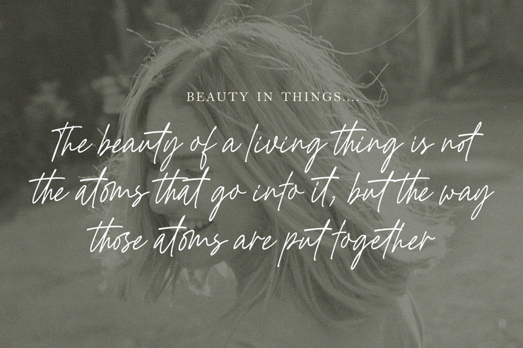 Golden Hopes字体 3