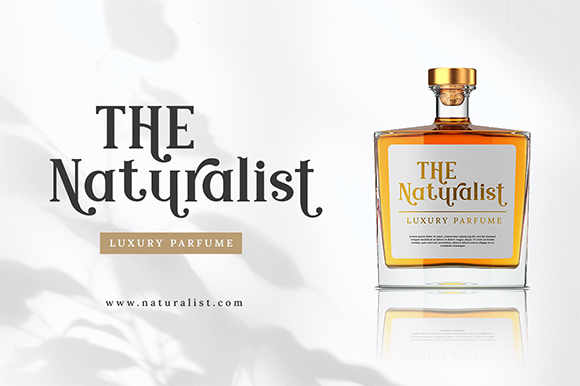 Modern Royale字体 6