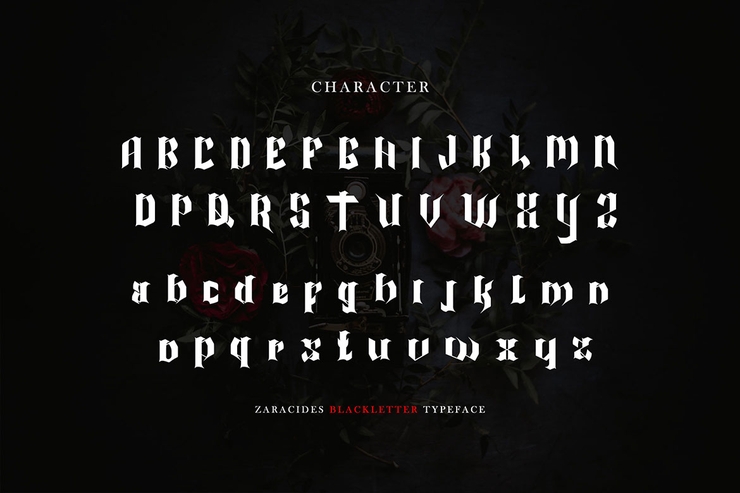 Zaracides字体 7