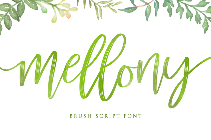 mellony dry brush字体 2