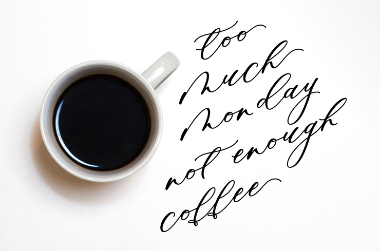 Minimalist Script字体 1