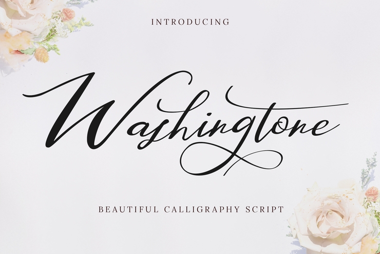 Washingtone字体 1