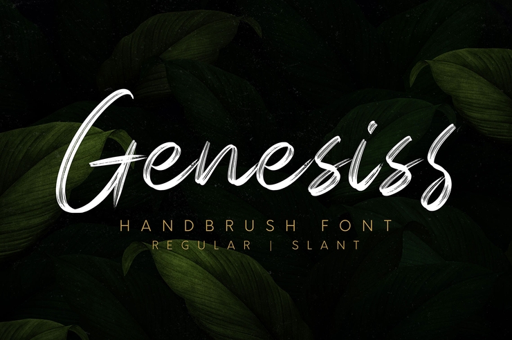 Genesiss字体 2