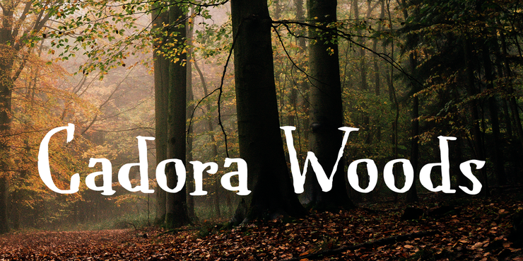 Cadora Woods字体 1