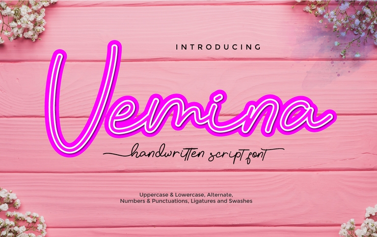 Vemina字体 1