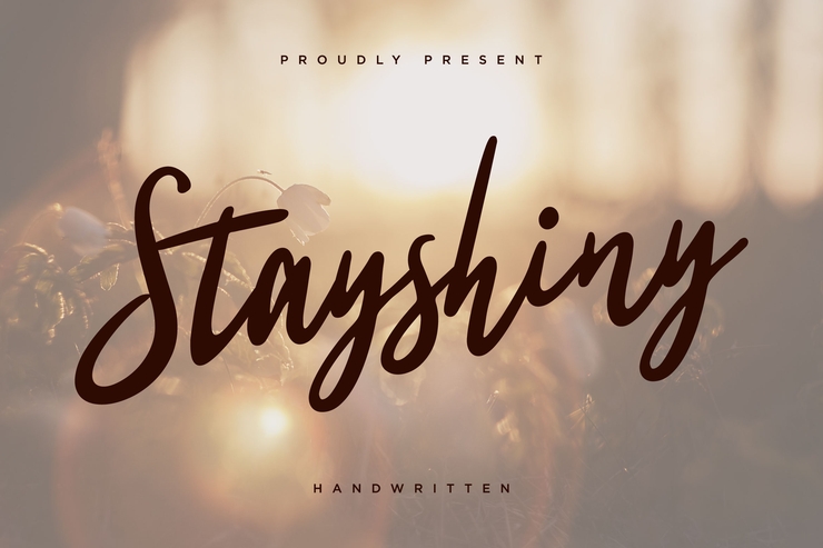Stay Shiny字体 3