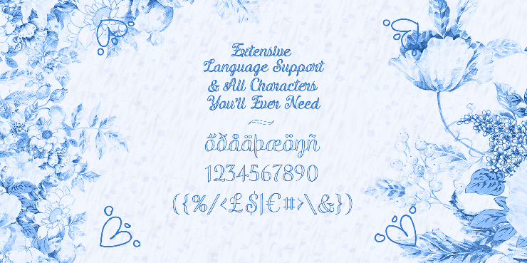 Validity Script字体 4