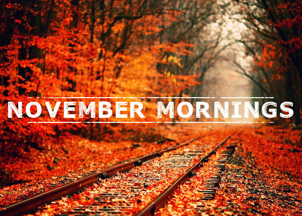 November Mornings字体 1