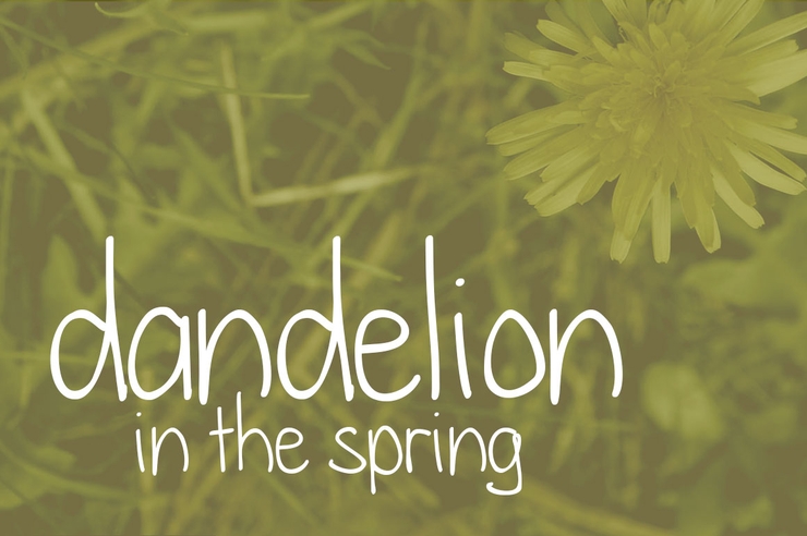 dandelion in the spring字体 1