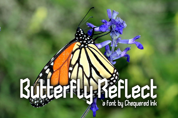 Butterfly Reflect字体 1