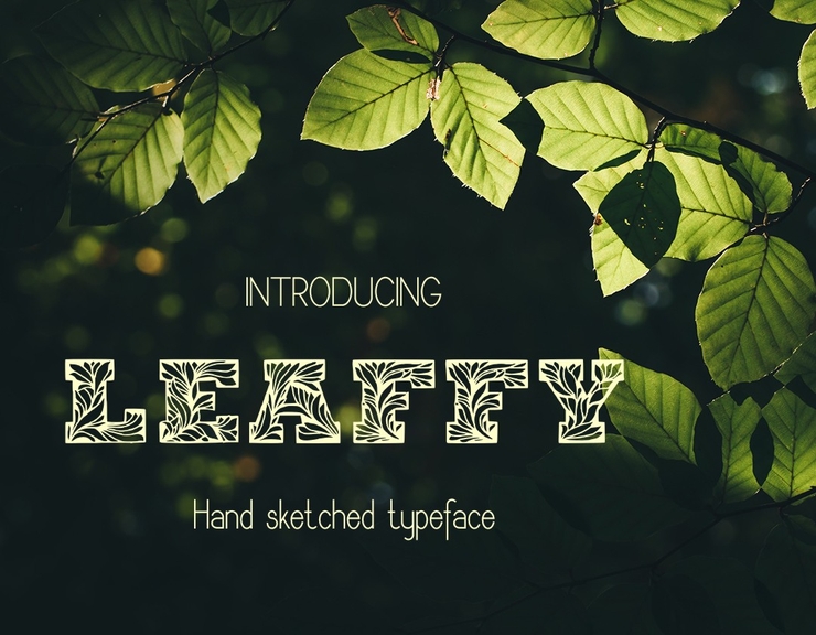 Leaffy字体 2