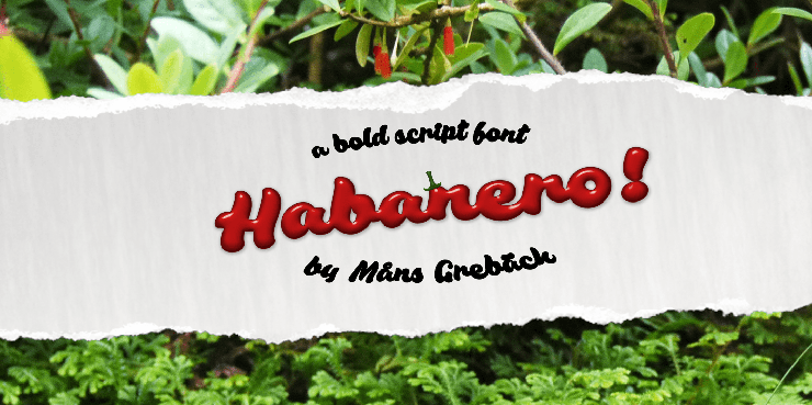 Habanero字体 2