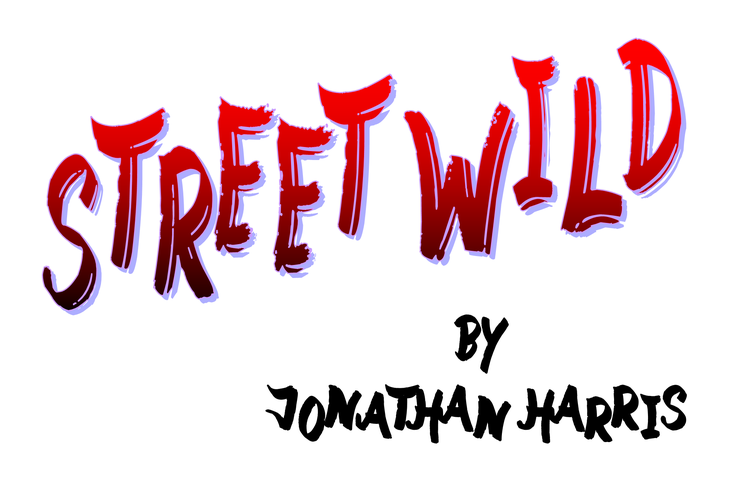 Street Wild字体 1