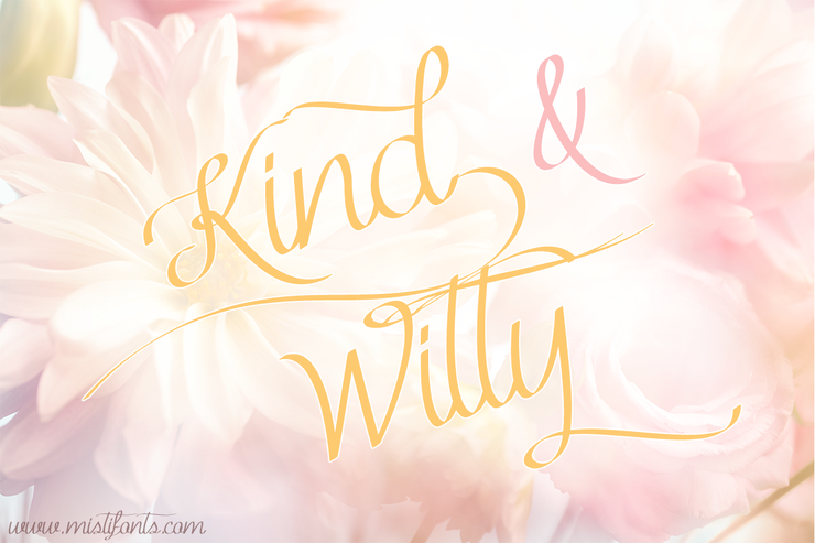 Kind & Witty字体 1