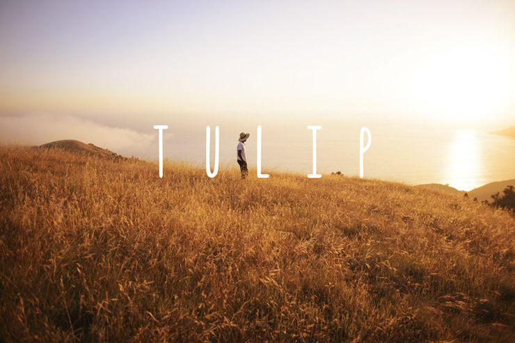 Tulip字体 1