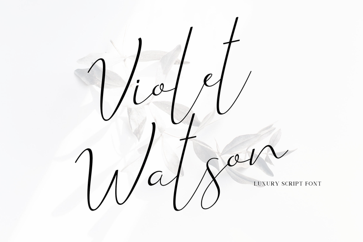 Violet Watson字体 1