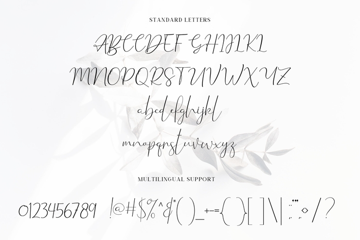 Violet Watson字体 2