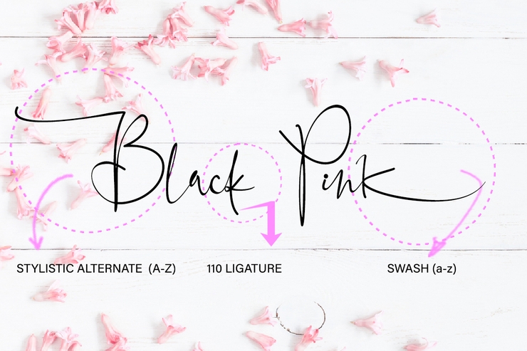 Black Pink Signature字体 10