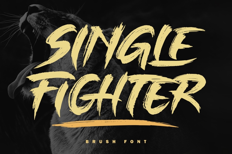 Single Fighter字体 1