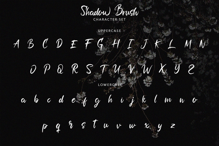 Shadow Brush字体 2