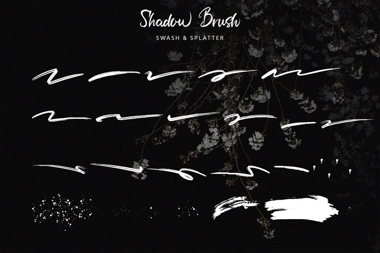 Shadow Brush字体 6