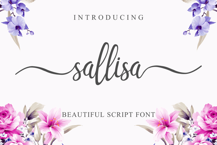 Sallisa字体 1