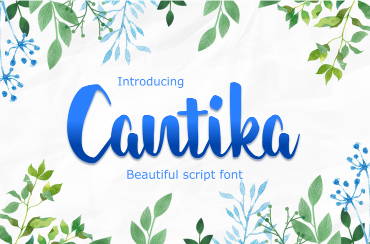 cantika字体 1