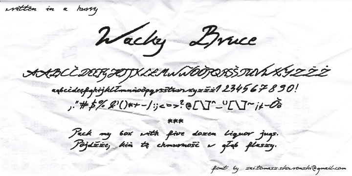 Wacky Bruce字体 1