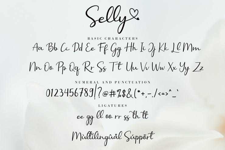 Selly Calligraphy字体 2