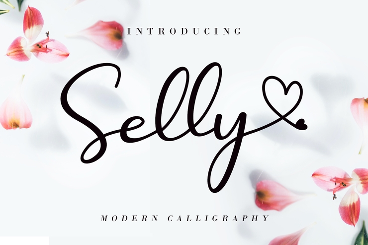 Selly Calligraphy字体 4