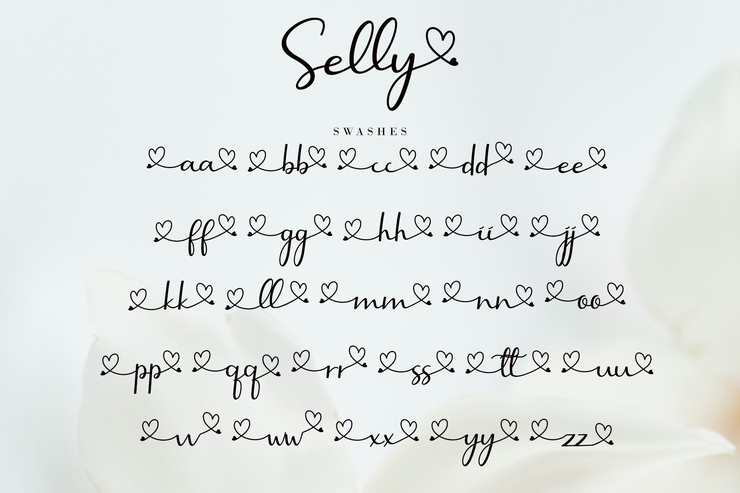 Selly Calligraphy字体 10