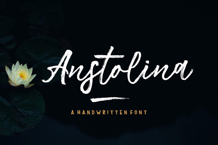 Anstolina Brush Script字体 6