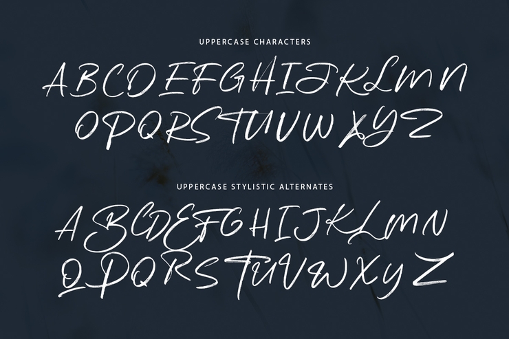 Katherina Signature字体 6