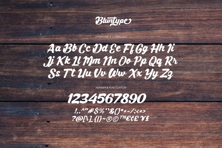 Bluntype字体 8