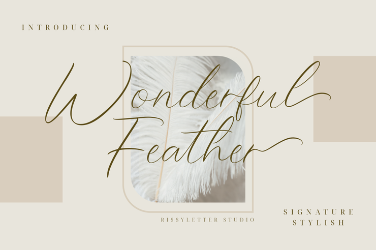 Wonderful Feather字体 3