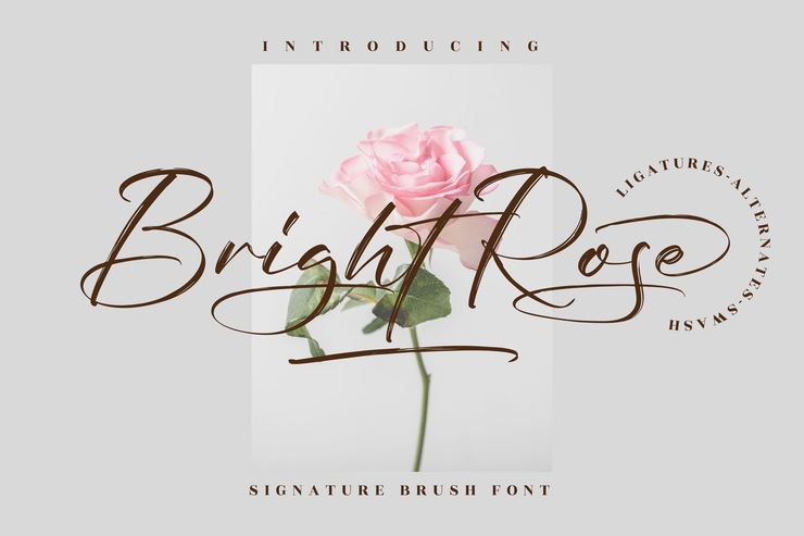 Bright Rose字体 8