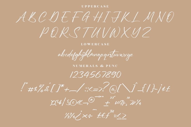 Reymonde Signature字体 4