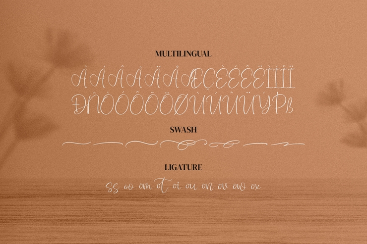 Monday Sunny字体 4