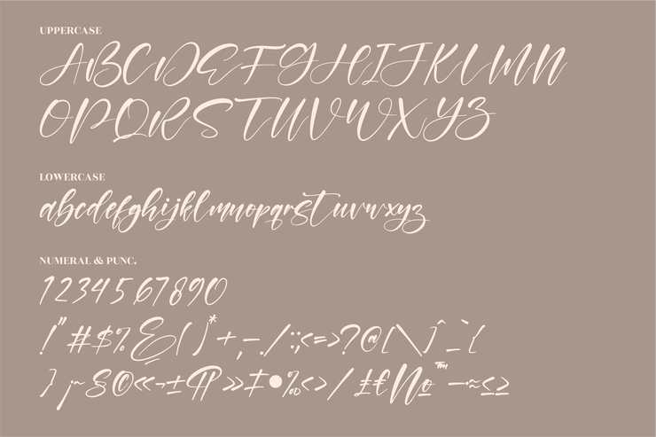 Wilonata Pevita字体 7